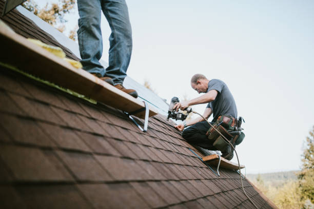 Best Flat Roof Repair Services  in Hoffman Estates, IL